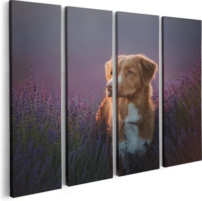 Artaza Canvas Schilderij Vierluik Retriever Hond Tussen De Lavendel Bloemen - 80x60 - Foto Op Canvas - Canvas Print