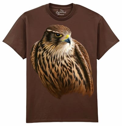 Valk Merlin Falcon - Smelleken The Coloured House T-shirt XXL