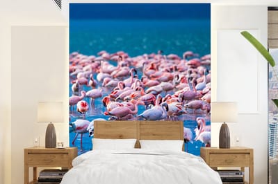 Behang - Fotobehang Flamingo - Water - Tropisch - Water - Roze - Breedte 195 cm x hoogte 260 cm