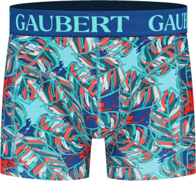 6 stuks GAUBERT® Heren Katoenen Boxershorts | premium herenondergoed | maten M - XXL | Thema: Fantasy