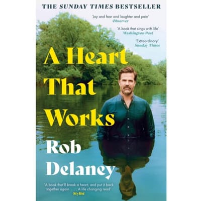 A Heart That Works - Rob Delaney