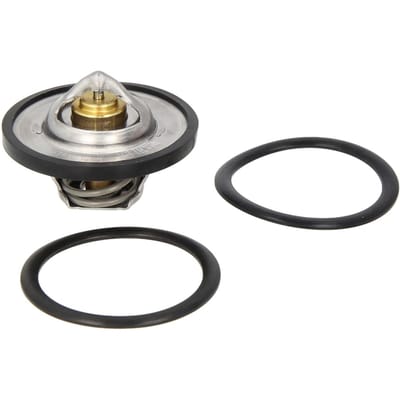 Borgwarner (Wahler) Thermostaat, koelvloeistof WAHLER 3136.88D50