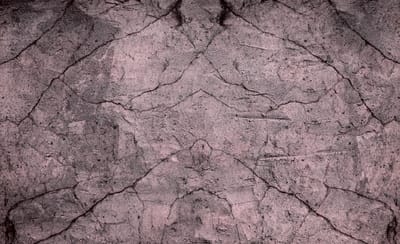 Wood Texture Photo Wallcovering