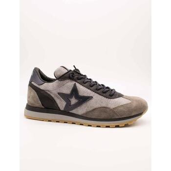 Lage Sneakers Cetti C-1259