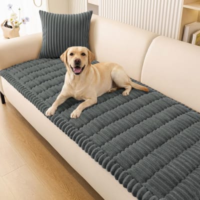 Dailygoods- Bankhoes Antislip - Wasbare Meubelbeschermer - 2-Zits - Donkergrijs - 70 x 150 cm - Zacht en Schokbestendig - Meubelhoes