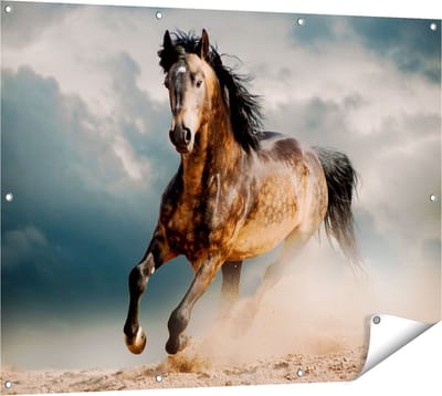 Gards Tuinposter Wilde Paard in het Zand - 120x90 cm - Tuindoek - Tuindecoratie - Wanddecoratie buiten - Tuinschilderij
