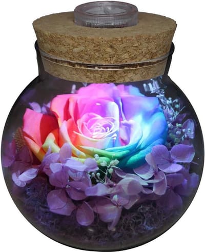 Eeuwige Roos - Geconserveerde Bloem - Decoratie Kamer - Niet Vervagend - Terrarium - Regenboog