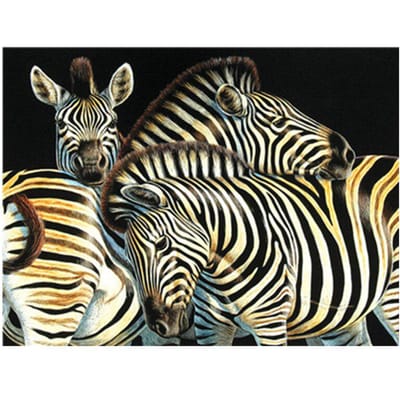 5D bricolage diamant broderie mosaïque motif personnage de dessin animé Animal décoration de la maison point de croix 20X30CM gray