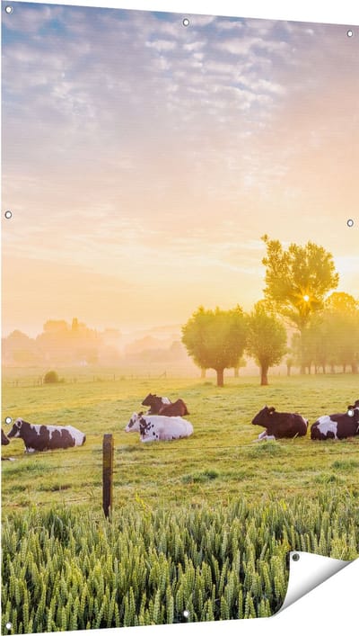 Gards Tuinposter Koeien in de Wei tijdens Zonsopgang - 100x150 cm - Tuindoek - Tuindecoratie - Wanddecoratie buiten - Tuinschilderij