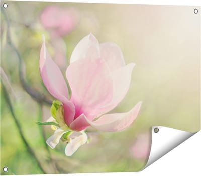 Gards Tuinposter Roze Magnolia Bloem - 80x60 cm - Tuindoek - Tuindecoratie - Wanddecoratie buiten - Tuinschilderij