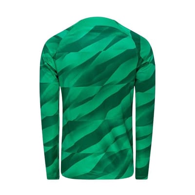 Nike Heren Paris Saint Germain FC keepershirt met lange mouwen (Groen)