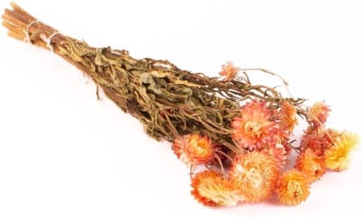 Gedroogd Boeket - Immortelle Boeket - Decoratie Huis - Natuurlijke Kleuren - 60 cm - Geel