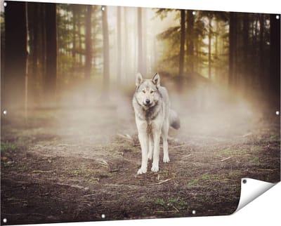 Gards Tuinposter Grijze Wolf in het Bos - 150x100 cm - Tuindoek - Tuindecoratie - Wanddecoratie buiten - Tuinschilderij