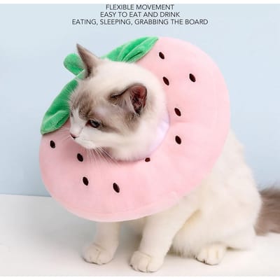 Kattenkegel Kraag Schattig Fruit Zacht Verstelbaar Voorkomt Likken Chirurgie Herstel Elizabethan Kragen voor Katten Kittens Huisdieren gray
