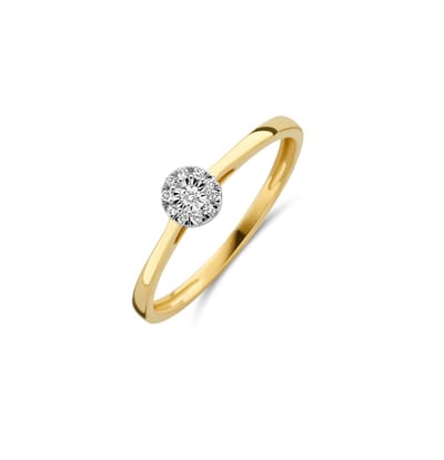 Blush Ring 1647BDI/54 14k Geelgoud 0,07crt G SI Briljant geslepen Diamant Maat 54