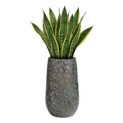 Mica Decorations Bloempot hoog Clemente - 35 x 17 cm - groen/koper - keramiek - vaas