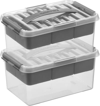 Sunware Q-Line opberg boxen - opbergdozen - 2x - met vakverdeling / vakken tray - 6 liter - 30 x 20 x 14 cm - kunststof