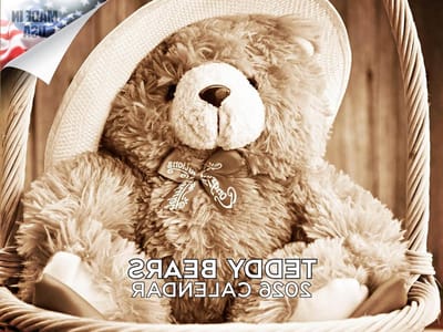 Teddybeer Kalender - Maan Kalender - Plannen Organiseren - Dikke Papier - 12 x 18 Inch - Meerdere Kleuren
