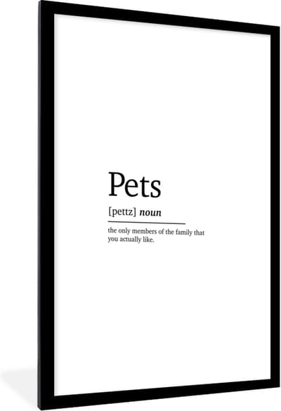 Fotolijst incl. Poster - Quotes - Pets - Huisdieren definitie - Spreuken - Woordenboek - 60x90 cm - Posterlijst