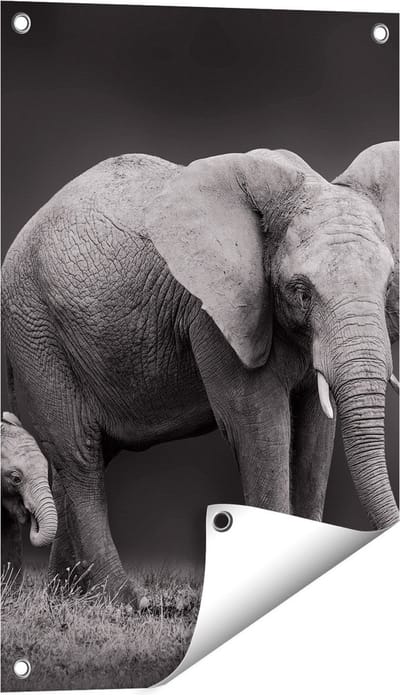Gards Tuinposter Olifant Moeder en Zoon - Zwart Wit - 40x60 cm - Tuindoek - Tuindecoratie - Wanddecoratie buiten - Tuinschilderij