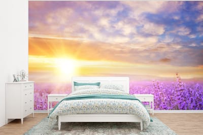 Behang - Fotobehang Lavendel - Zon - Lucht - Natuur - Breedte 350 cm x hoogte 260 cm