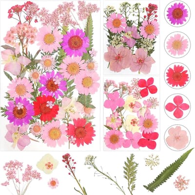 Gedroogde Bloemen - Natuurlijke Decoratie - Ambachtelijke Projecten - Zorgvuldig Gedroogd - Lichtgewicht - Roze