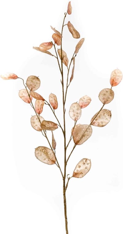 Kunstbloemen - Zijde Bloemen - Nep bloemen Luxe Bloemen - Judas penning 100 cm - Natuurlijk Bloemen