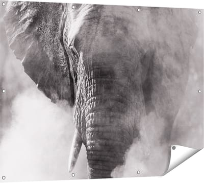 Gards Tuinposter Olifantenkop - Olifant - Zwart Wit - 120x90 cm - Tuindoek - Tuindecoratie - Wanddecoratie buiten - Tuinschilderij