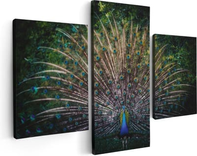Artaza Canvas Schilderij Drieluik Pauw Met Kleurrijke Veren - Kleur - 90x60 - Foto Op Canvas - Canvas Print