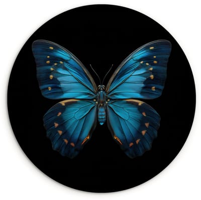 WallCircle® Wandcirkel 120x120 cm - Muurcirkel Vlinder - Blauw - Contrast - Muurdecoratie woonkamer - Wanddecoratie slaapkamer - Kamer decoratie accessoires - Ronde schilderijen XXL