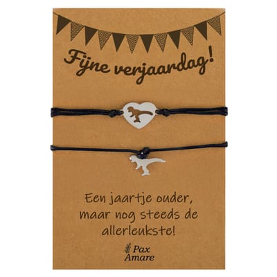 Vriendschapsarmbandjes voor 2 "Fijne Verjaardag" - Dino's - BFF Armbandjes met Persoonlijk Cadeau Kaartje - Zilverkleurig & Zwart - Elastisch Verstelbaar - Pax Amare
