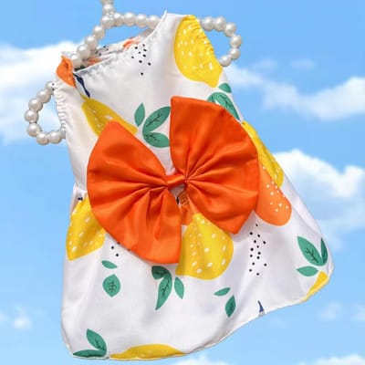 Vêtements pour animaux de compagnie Robe pour chien Pour femelle Animal de compagnie Chat Chiot Floral Jupe de princesse S-Xl S