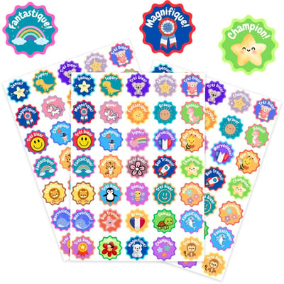 Franstalige Beloningsstickers - 3 Stickervellen - 105 Franse Beloningsstickers voor Franse Les