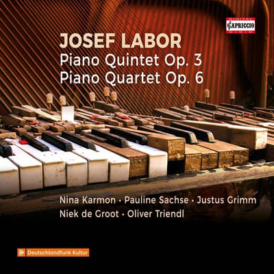 Niek De Groot, Oliver Triendl, Justus Grimm - Piano Quintet Op. 3 | Piano Quintet Op. 6 (CD)