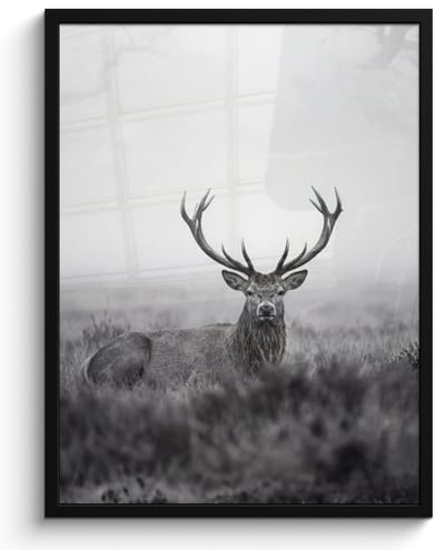 Poster in lijst - Fotolijst 60x80 cm - Posters - Hert - Mistig - Zwart - Wit - Posterlijst zwart - Decoratie - Wanddecoratie woonkamer - Muurdecoratie slaapkamer