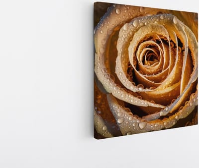 Saammp Canvas Schilderij - Gouden Roos Met Waterdruppels - Natuur - Abstract - 20x20 - Foto op canvas - Wanddecoratie - Muurdecoratie Woonkamer - Kantoor Decoratie