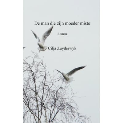 De Man Die Zijn Moeder Miste - Cilja Zuyderwyk