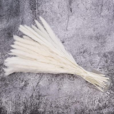Wit natuurlijk gedroogd pampasgras - 30 stuks - 40 cm - kunstmatig - boho - home decor - natuurlijke Phragmites Communis - gedroogde bloemen voor vazen - bloemenboeket - bruiloften - vakantie - feestdecoratie