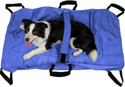 Draagbare en opvouwbare huisdierennooddrager voor grote honden, ideaal voor reizen, outdoor activiteiten en thuisgebruik, biedt veilige transportoplossing