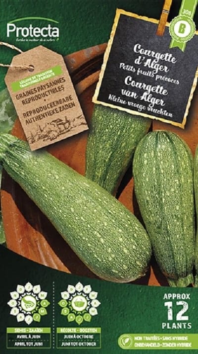 Protecta Groente zaden: Courgette kleine groene van Alger