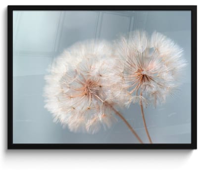 Poster in lijst - Fotolijst 80x60 cm - Posters - Paardenbloemen - Pluisjes - Wit - Posterlijst zwart - Decoratie - Wanddecoratie woonkamer - Muurdecoratie slaapkamer