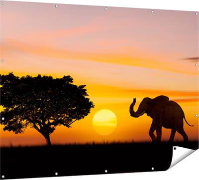 Gards Tuinposter Olifant Silhouet tijdens Zonsondergang - 160x120 cm - Tuindoek - Tuindecoratie - Wanddecoratie buiten - Tuinschilderij