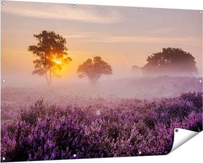 Gards Tuinposter Weide in de Veluwe bij Zonsondergang - 150x100 cm - Tuindoek - Tuindecoratie - Wanddecoratie buiten - Tuinschilderij