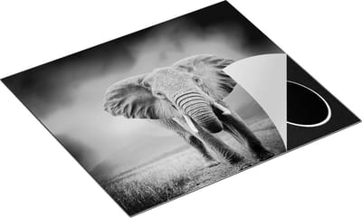Chefcare Inductie Beschermer Olifant - Zwart Wit - 60x50 cm - Afdekplaat Inductie - Kookplaat Beschermer - Inductie Mat