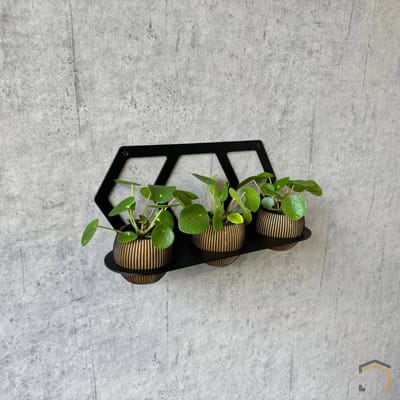 Trippel Zeskant Plantdrager – Industrieel Design | 3 mm Staal | Matzwart | Eenvoudige Wandmontage – Weterings Store