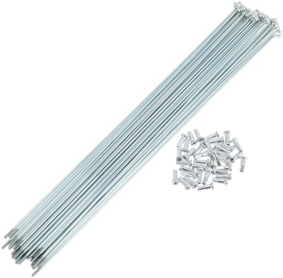 Dailygoods- Fiets Spaken 36 Set 14G - Gegalvaniseerd Koolstofstaal - 293mm - Duurzaam - Slagvast - Voor Wielopbouw - Wielspaken