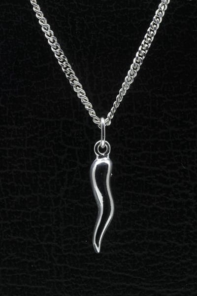 Zilveren Gelukswortel ketting hanger