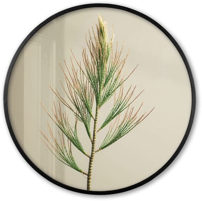 Poster in lijst Rond - Fotolijst 60x60 cm - Posters - Dennentak - Naaldvormige bladeren - Lichtgroen - Ronde posterlijst zwart - Decoratie - Wanddecoratie woonkamer - Muurdecoratie slaapkamer