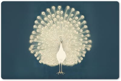 Placemats 45x30 cm - Placemat kunststof - 1 stuk - Vogel - Blauw - Vintage - Borden onderleggers - Decoratie voor op tafel - Keuken tafeldecoratie accessoires - Vinyl onderlegger - Tafelversiering