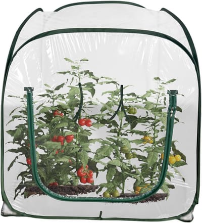 Mini Kas Buiten - Kweekkas Serre - Planten Beschermen - Opvouwbaar PVC Ontwerp - 98x98x98 cm - Transparant